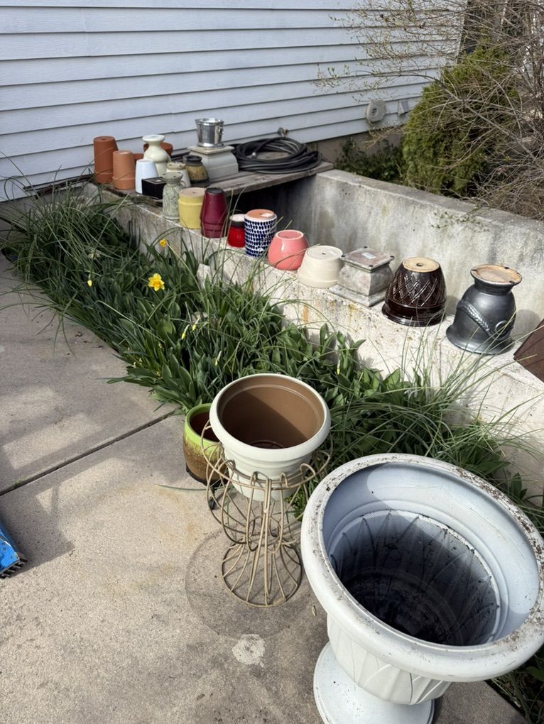 Pots and Plant Stands