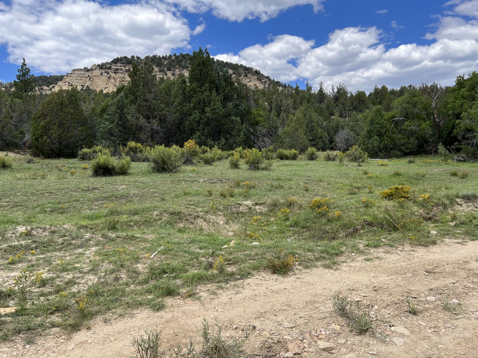 Main image 10