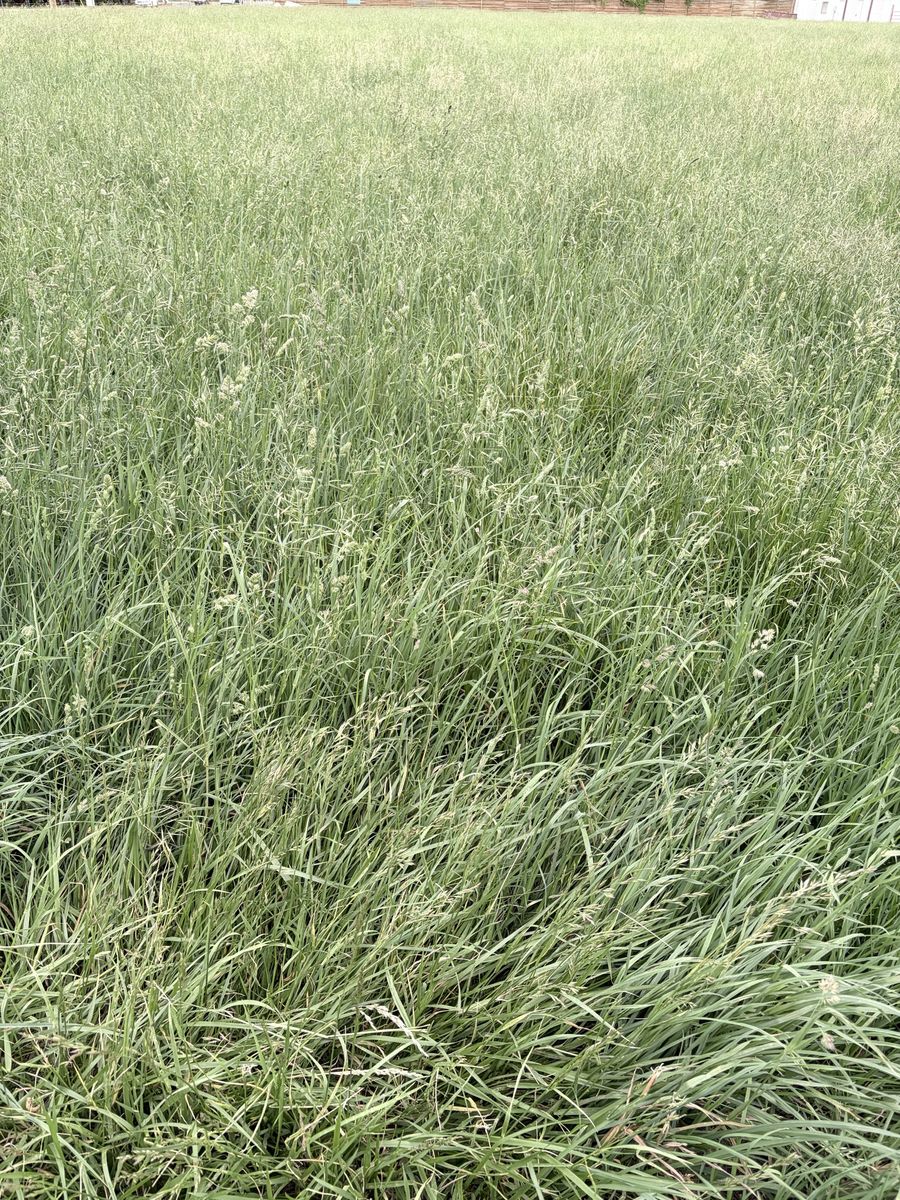 Main image 4