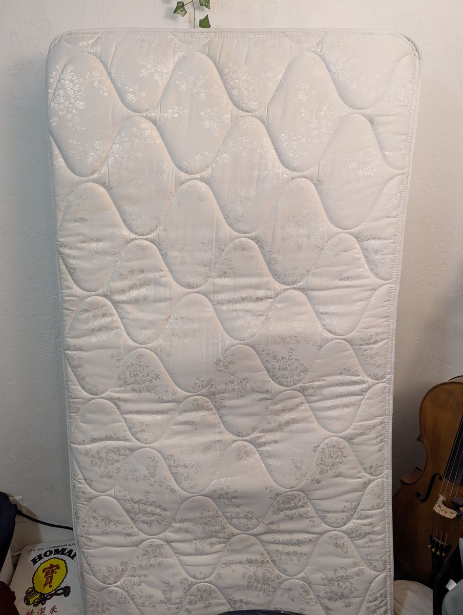 FREE Twin Mattress