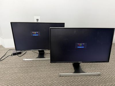 Samsung S24D590 Monitor (x2)