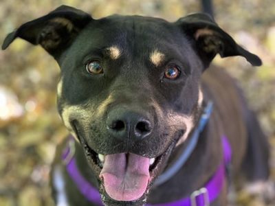 Hello my name is Virginia