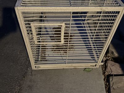Metal Wire Pet Crate Cage - Tan/Gray