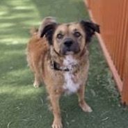 Hello my name is Bellamy