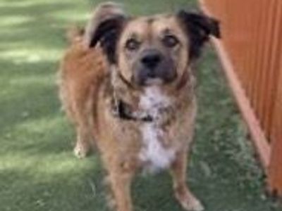 Hello my name is Bellamy