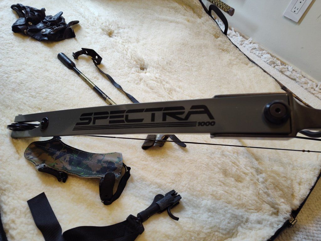 Hoyt Easton Spectra 1000 compound bow, case and more