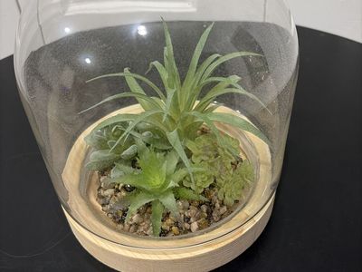 New Glass Dome Faux Plants