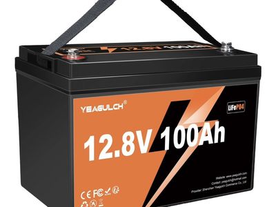 12V 100Ah LiFePO4 Lithium Battery — Brand New