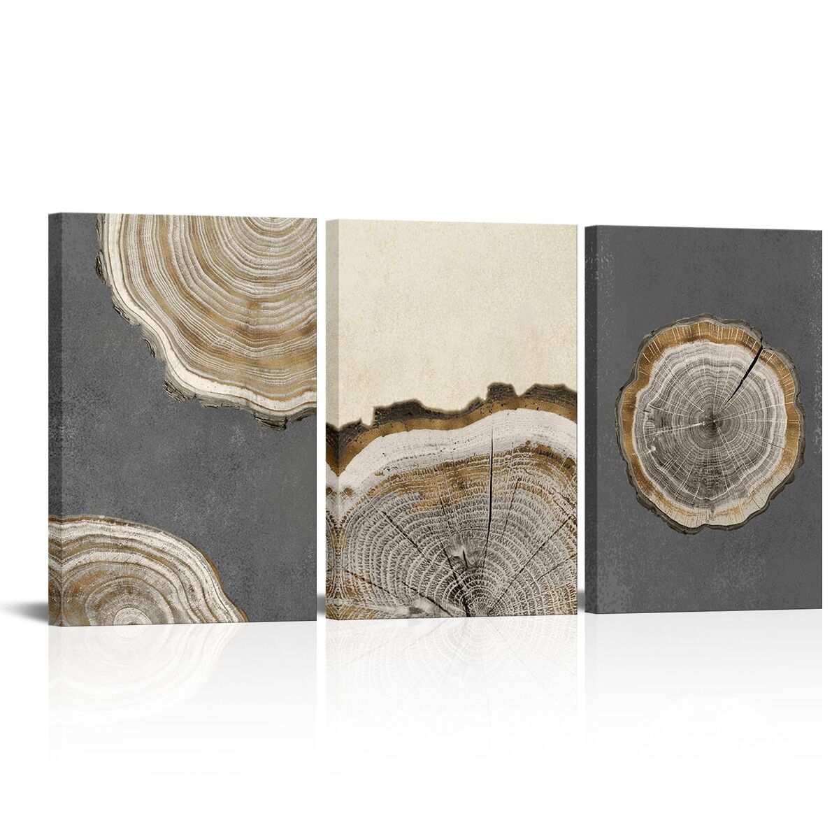 16"x24" 3 PC Tree Ring Art Geometry Abstract Tree Stump Prints