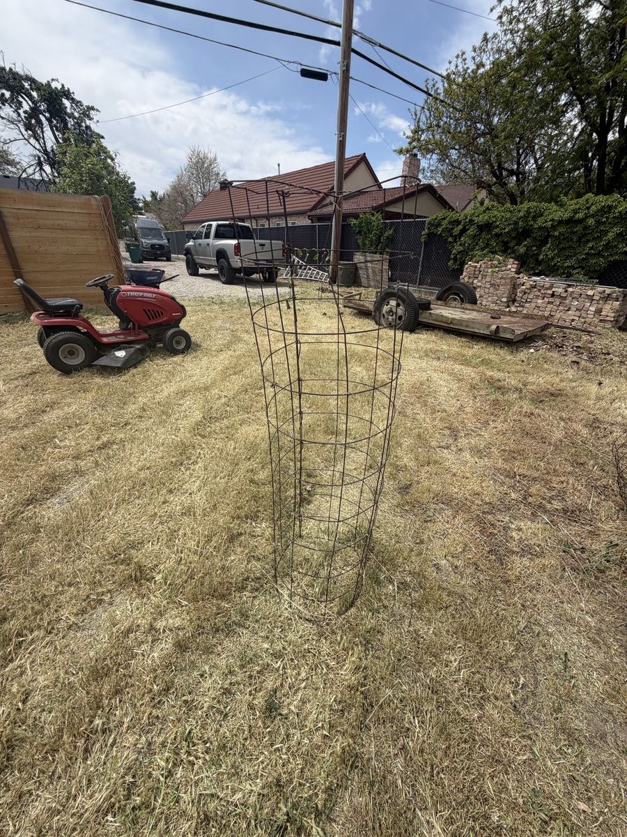 Tomato planting rings