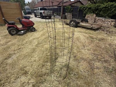 Tomato planting rings
