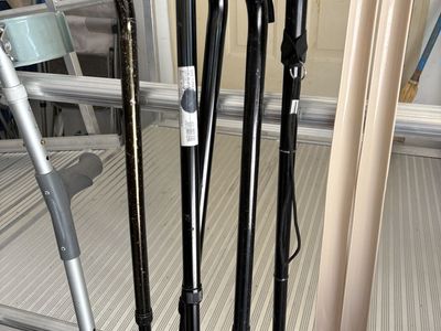 miscellaneous canes