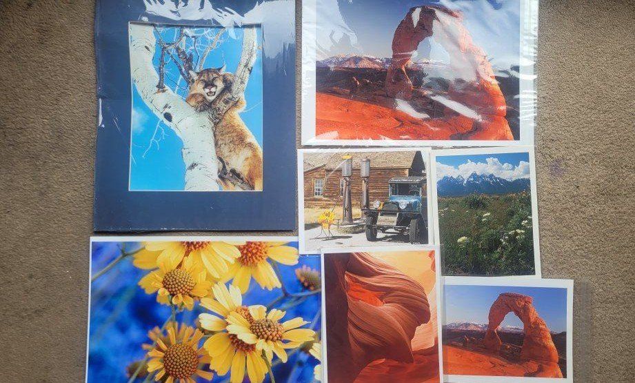 David S. Marchant Nature Photography Prints Lot Wildflowers Landscape Wildlife