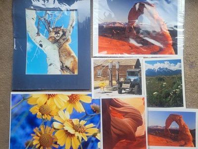 David S. Marchant Nature Photography Prints Lot Wildflowers Landscape Wildlife
