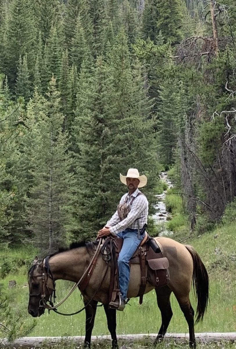 AQHA 8 yr dun mare for sale at Clinic!