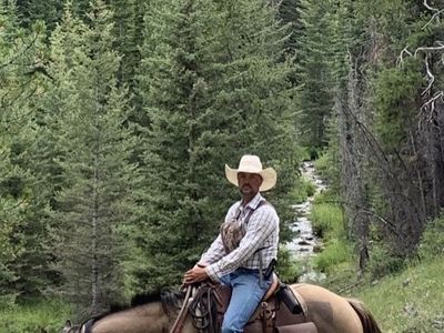 AQHA 8 yr dun mare for sale at Clinic!