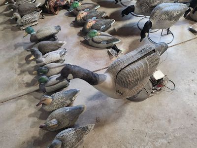 Hunting / Camping Yard/Garage sale