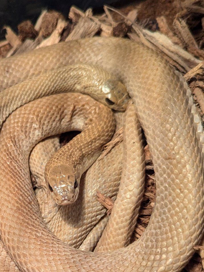 Main image 4