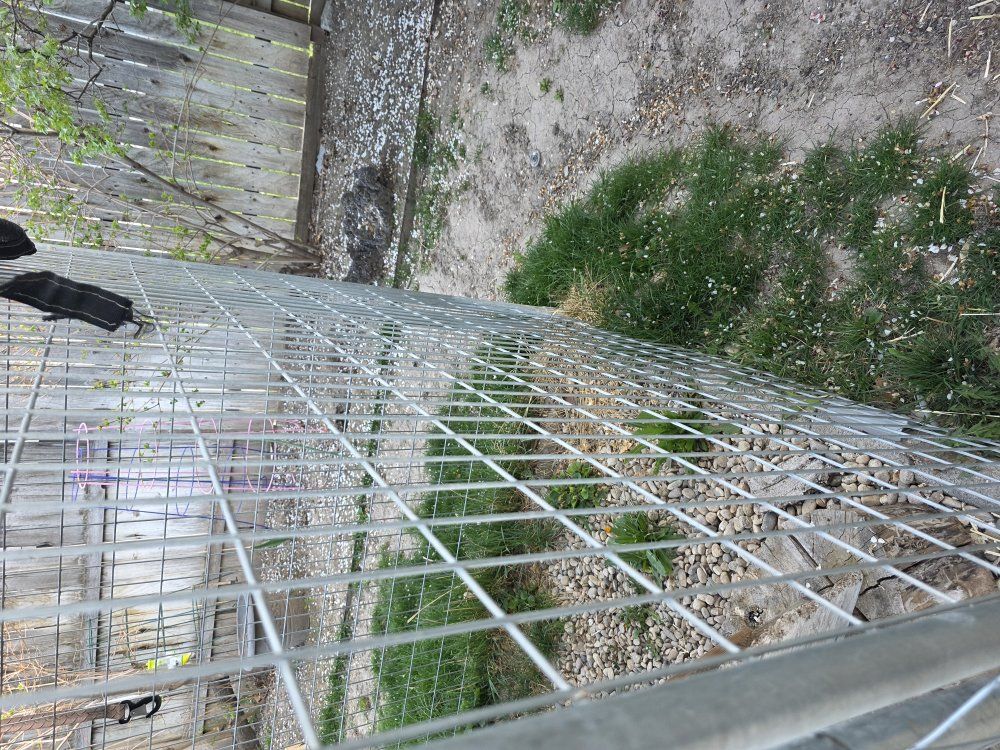 Power coated Kennel  5' x 10'