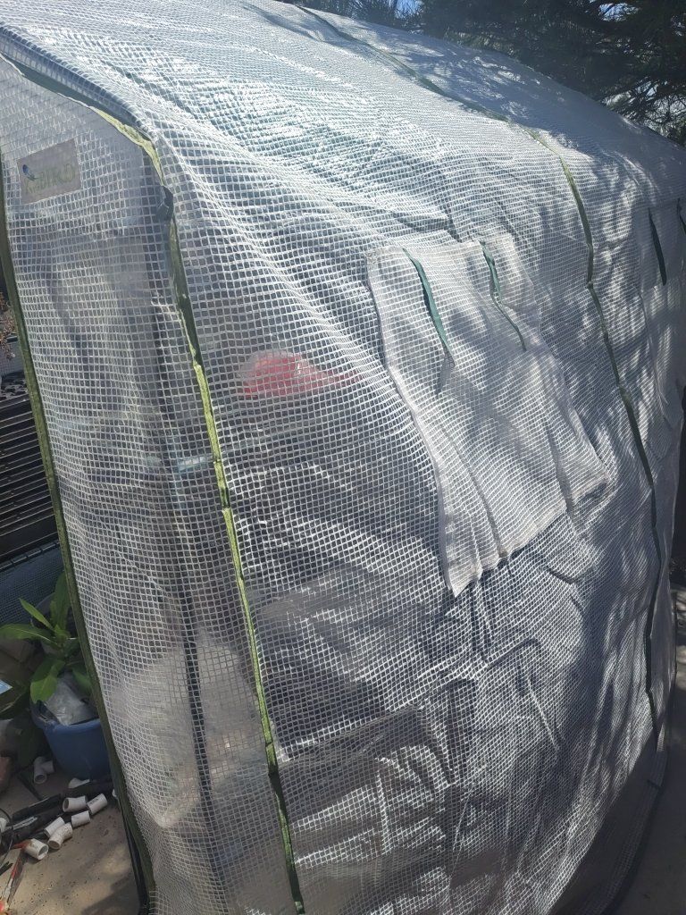 green house