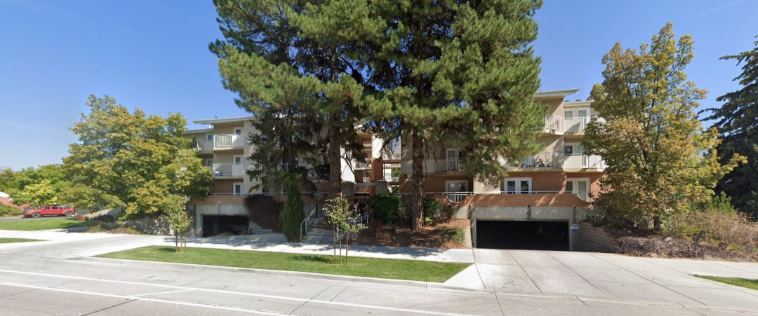 1 Bed 1 Bath Apartment