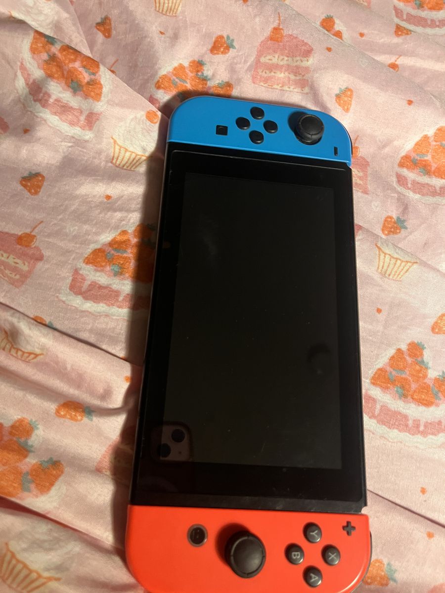 Nintendo switch with charger