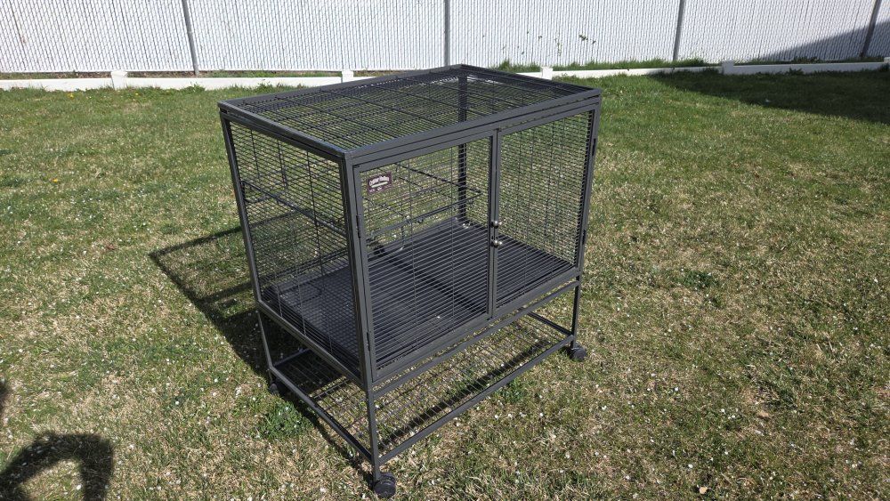 Critter Nation Cage