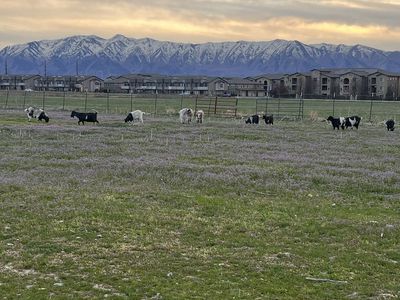 Private Townhome room for rent