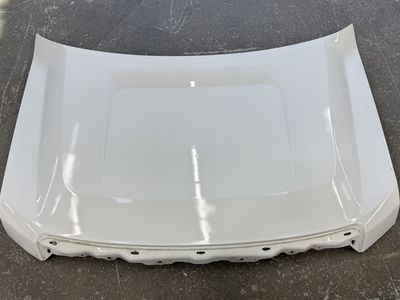 2009-2014 Ford F-150 Hood