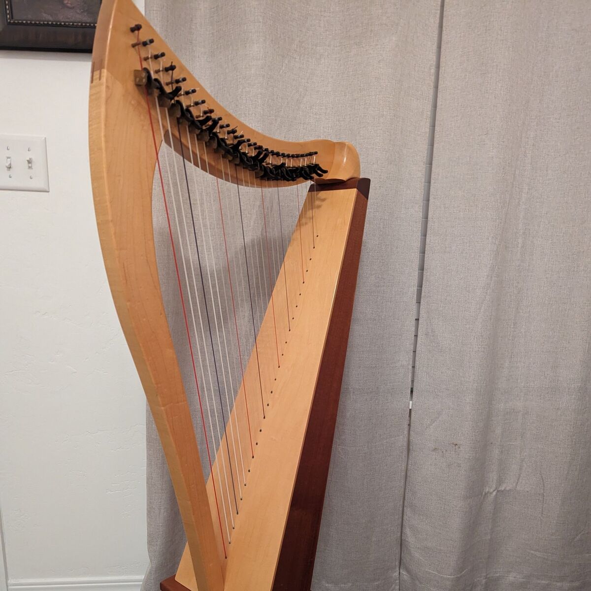 Dusty Strings FH 26 HARP for RENT