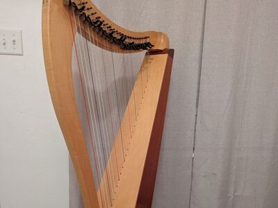 Dusty Strings FH 26 HARP for RENT