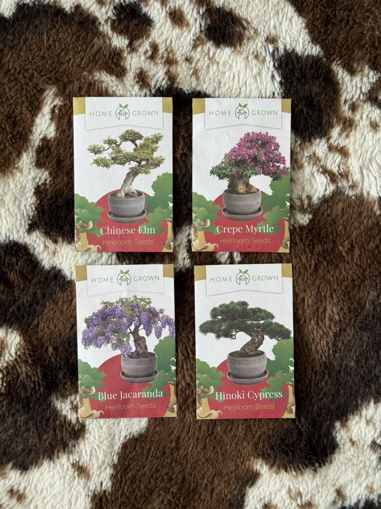 Bonsai Tree seeds