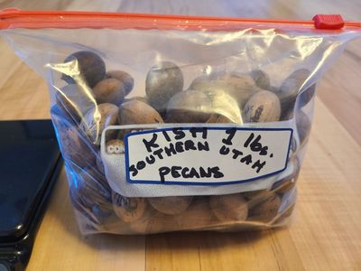 Fresh Southern Utah Pecans – Family Grown | Bulk Available