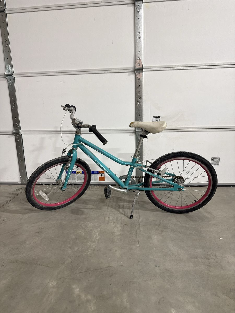 Guardian Kids Bike Teal and Pink