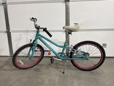 Guardian Kids Bike Teal and Pink