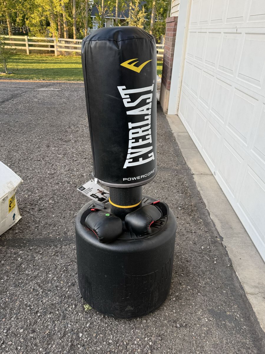 Everlast Upright Punching bag and Child’s boxing gloves