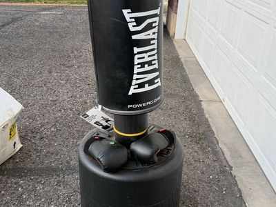Everlast Upright Punching bag and Child’s boxing gloves