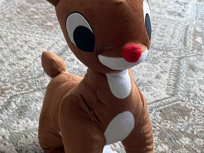 Rudolph the Red-Nosed Reindeer Kids Plush Bedding Cuddle and Decorative Pillow Buddy