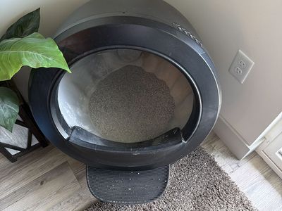 Litter Robot 4