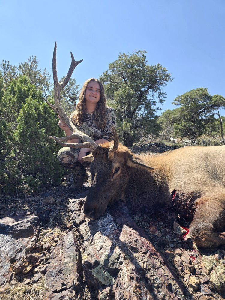 Elk hunts