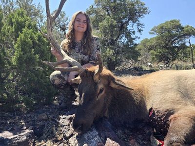 Elk hunts