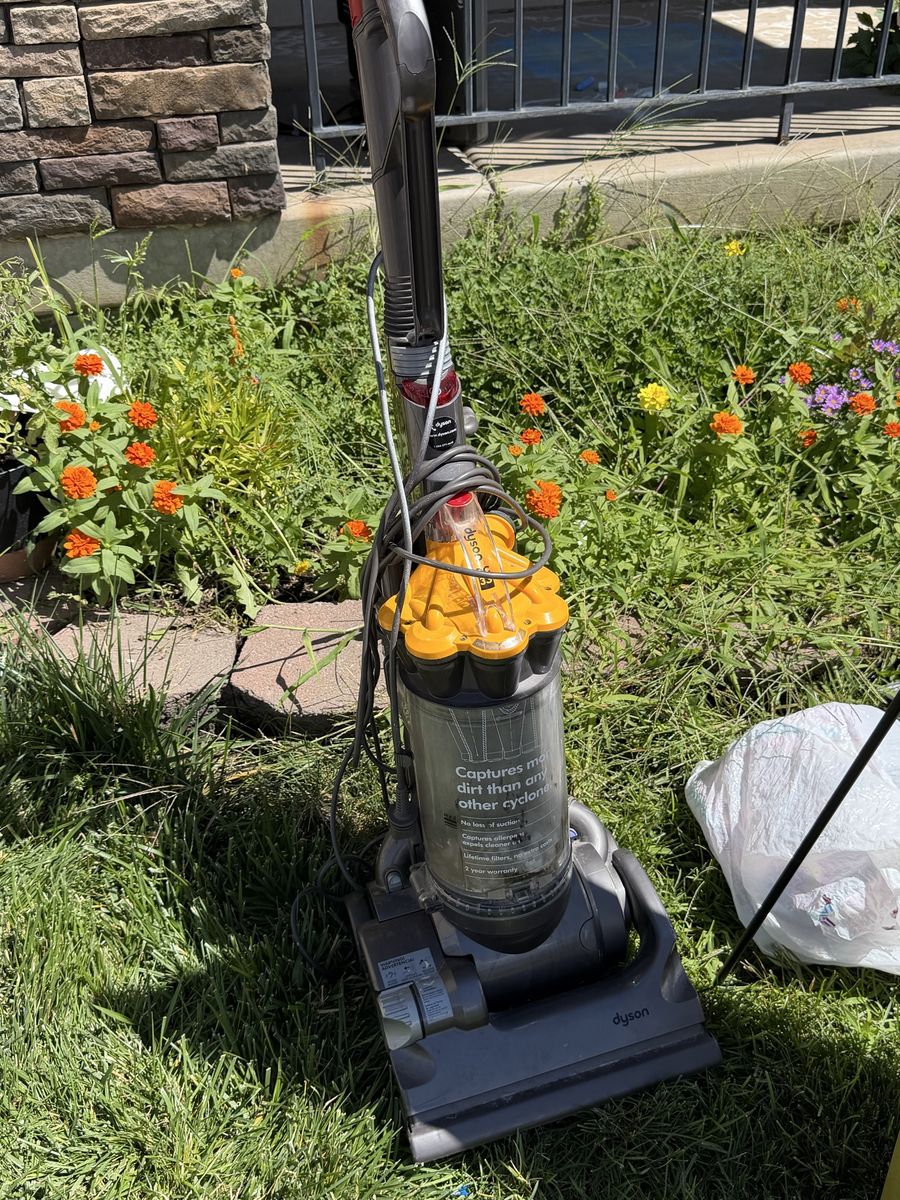 Dyson DC33