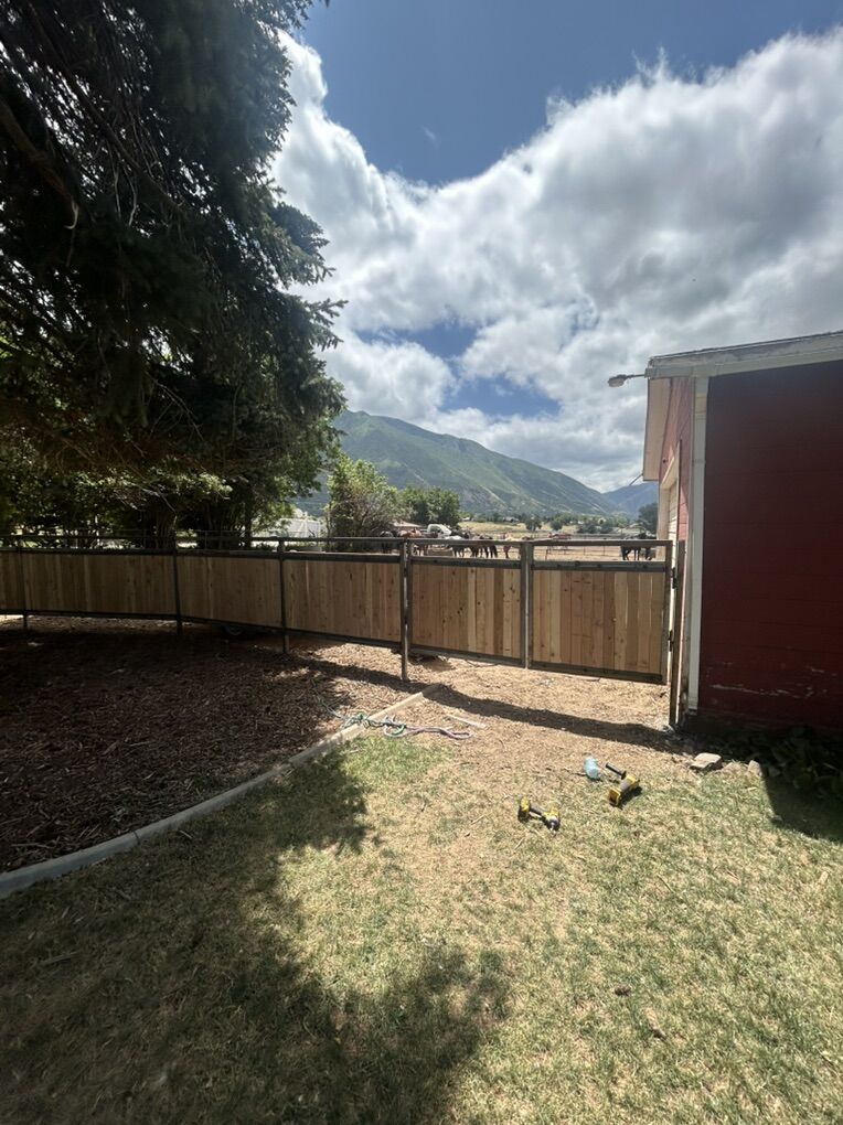 Loafing Sheds, Fencing, feeders, etc