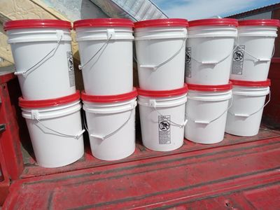 Oatmeal and red hard wheat food storage