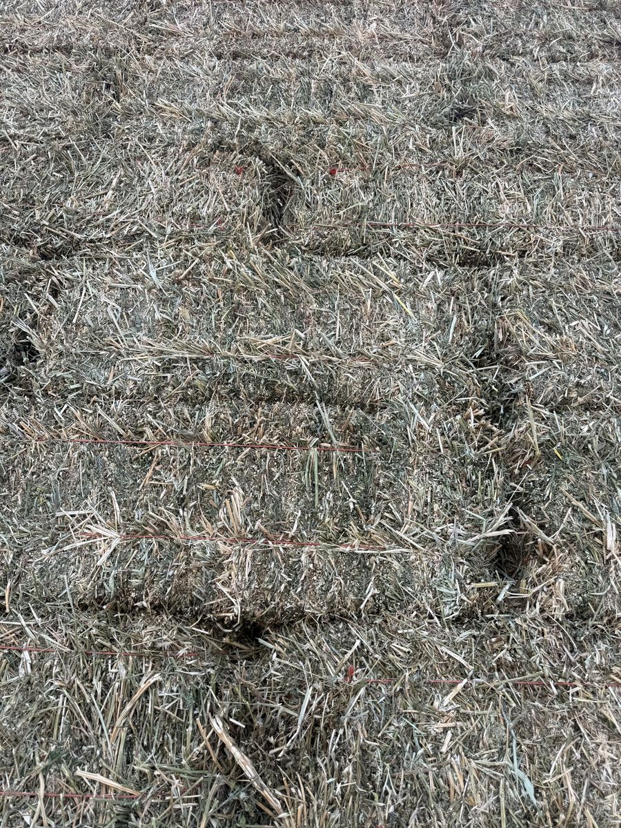 Goat or cattle hay