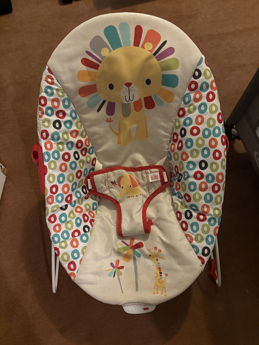 Vibrating Baby Bouncer