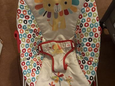 Vibrating Baby Bouncer