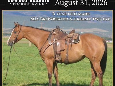True Ranch Horse