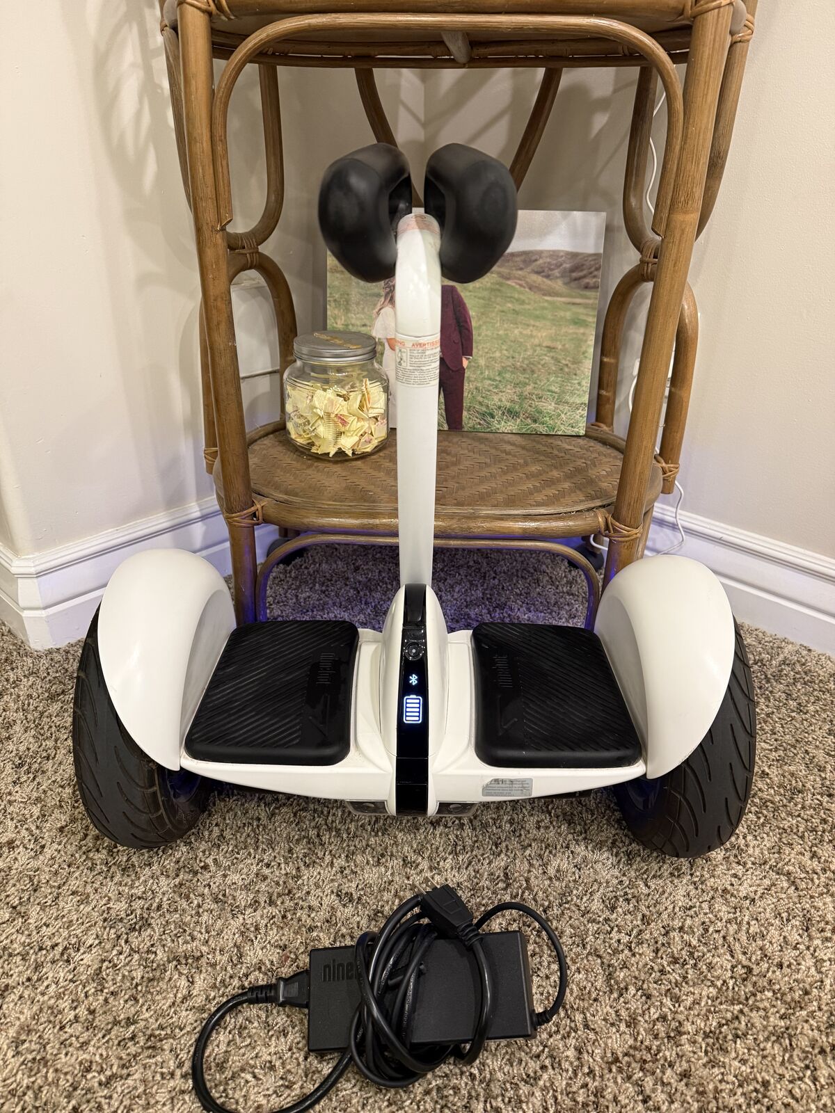 Segway Ninebot S New