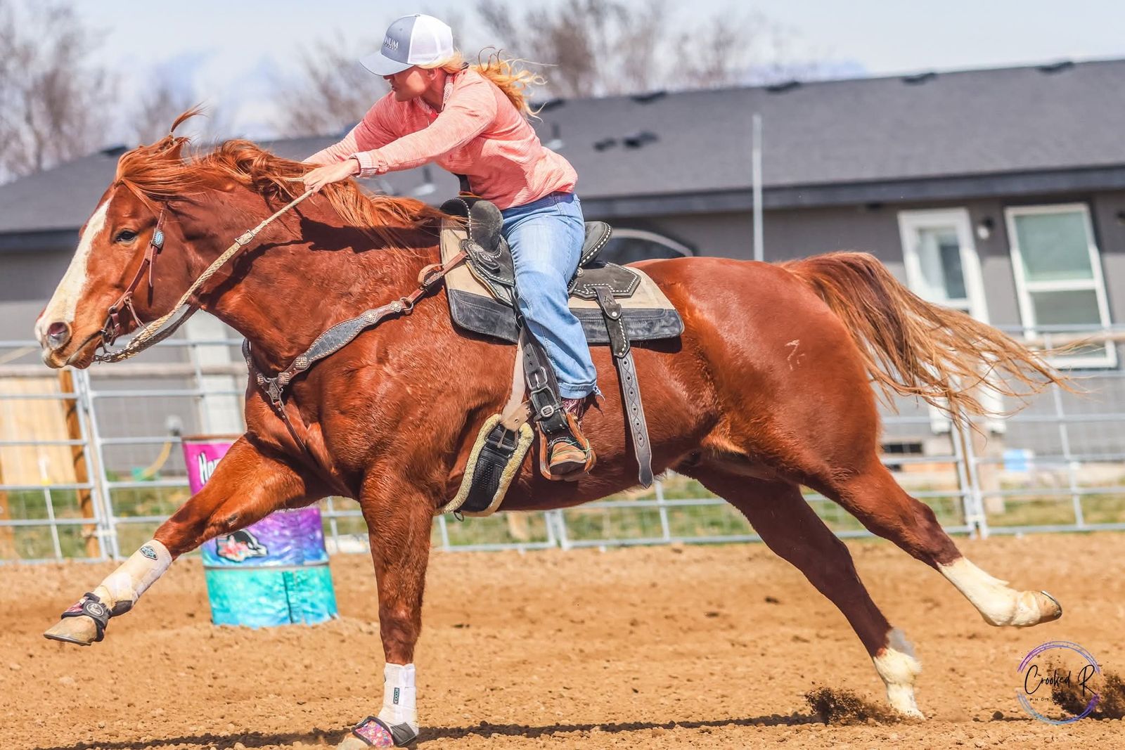 1D/2D Barrel Horse. 8yo. Gentle Giant by PC Redwood Manny. Pink&Ruby Buckle, Royal Crown.